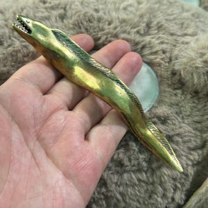 Op de afbeelding: Een messing palingbeeldje met een gedetailleerd ontwerp. De paling heeft een gouden kleur met een textuuroppervlak, inclusief zichtbare kieuwen en tanden. Het beeldje wordt in een hand gehouden tegen een vage, neutrale achtergrond.