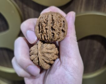 Coppia di piccole noci Wenwan, 35~39 mm