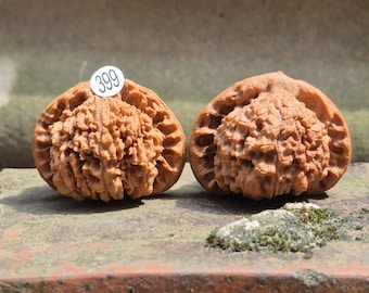 Coppia di noci Wenwan 399 da 49 mm