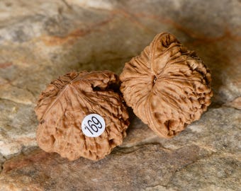 Par de nogales 169, Par de nogales 169, Nueces hechas a mano 169