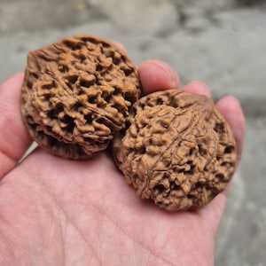 Handrollierte Walnüsse 45~50 mm