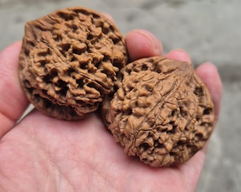 Noci arrotolate a mano a forma di Bodhi, 45~50 mm