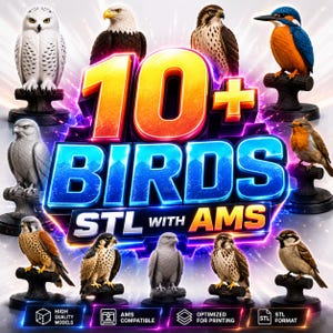 Op de afbeelding: Een promotieafbeelding met 3D-geprinte vogelmodellen. De afbeelding toont verschillende vogelsculpturen, waaronder een uil, een adelaar en een ijsvogel, op decoratieve standaards. De tekst "10+ BIRDS STL WITH AMS" is prominent aanwezig, samen met pictogrammen en tekst die modellen van hoge kwaliteit en het STL-formaat aangeven.