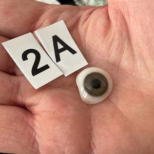 May include: A small, round, prosthetic eye featuring a dark brown iris and a black pupil, accompanied by two white paper tags labelled with the black printed characters 2 and A, resting on a palm to show the scale of the ocular piece.