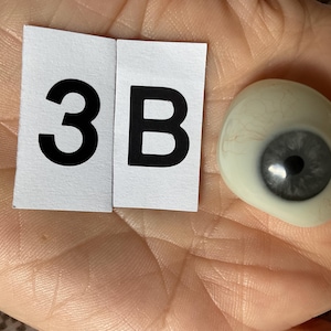 May include: A prosthetic eye with a grey iris and a black pupil, positioned next to two white rectangular paper labels. The left label features the black printed character 3, and the right label features the black printed character B.