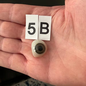 Puede incluir: Una pequeña prótesis ocular redonda con un iris marrón oscuro y una pupila negra, colocada debajo de dos pequeñas etiquetas de papel blanco con los caracteres impresos en negro 5 y B, sobre una palma abierta.