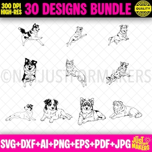 Australian Shepherd SVG Bundle, 30 Designs für Cricut und Silhouette, hochwertige digitale Dateien
