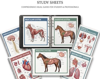 200 feuilles d'étude d'anatomie et de physiologie vétérinaires Notes d'infirmières Étude de l'anatomie animale médicale, Notes d'étude vétérinaire Téléchargement numérique 2026-2027