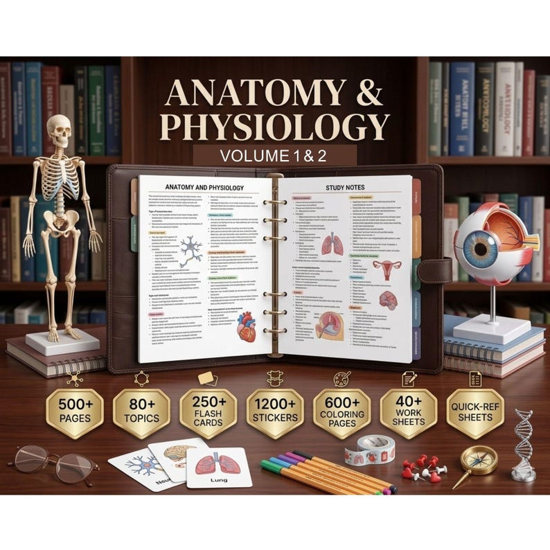 Anatomy and Physiology Notes Mega Bundle Vol 1 & 2, Nursing School Note ...