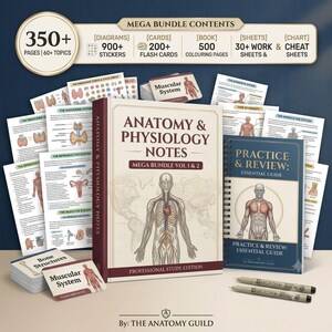 Anatomy and Physiology Notes Mega Bundle Vol 1 & 2, Nursing School Note, Human Body Systems, Flashcards Cheat Sheet Coloring Book Worksheets
