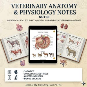 May include: A digital tablet displaying a digestive system diagram centred between two open books showing veterinary anatomy illustrations. The text reads Veterinary Anatomy & Physiology Notes, Updated 2025-26, 200 Sheets, Digital & Printable, Hyperlinked Contents, 26 Topics, 200 Illustrated Pages, Quizzes Included, Bonus Stickers, and Snook To Sky: Empowering Future Vet Pros.