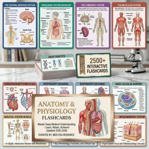 May include: Anatomy and physiology flashcards with detailed diagrams of the central nervous system, endocrine system, lymphatic system, and muscular system. The set includes over 2500 interactive flashcards, curated by Med-Edu Resource.