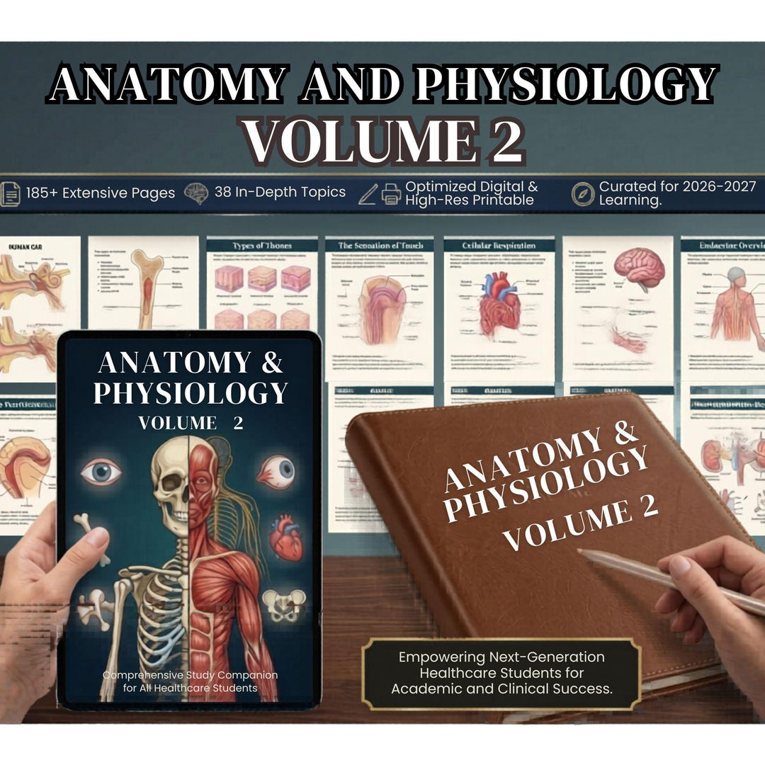 Anatomy Notes Example Anatomy and Physiology Notes Mega Bundle Volume 2, Nursing School Note ...