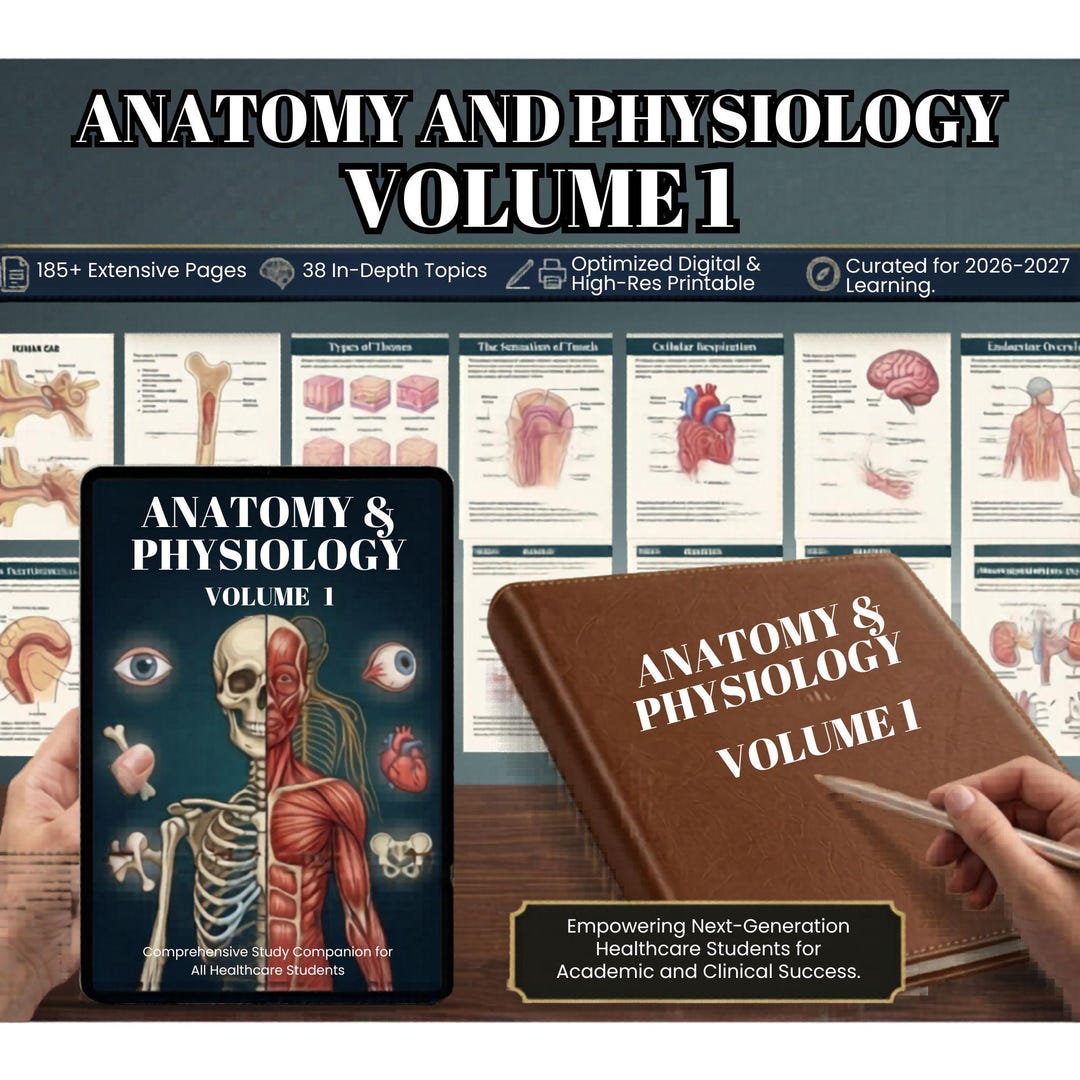 Anatomy and Physiology Notes Mega Bundle Volume 1, Nursing School Note ...