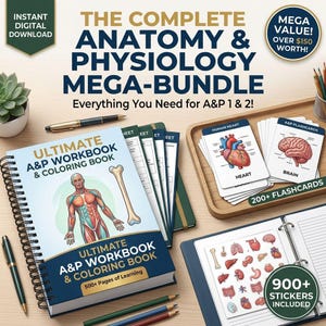 May include: A digital anatomy and physiology study bundle featuring a spiral-bound workbook titled Ultimate A&P Workbook & Coloring Book, a wooden tray with over 200 flashcards showing organs, and a binder containing 900+ anatomical stickers.
