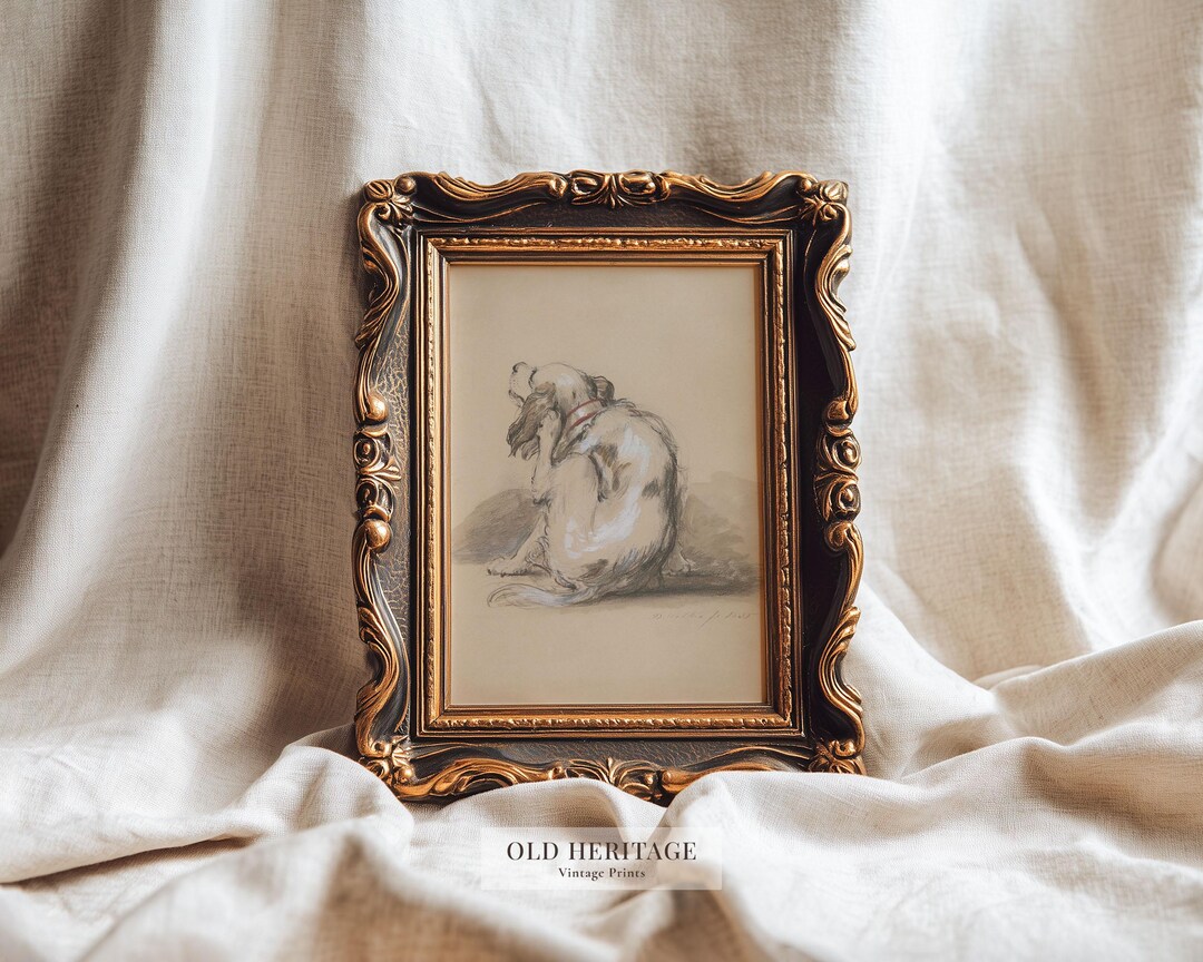 Scatching Print The Scratching Dog Print | Vintage Animal Sketch (digital Download ...