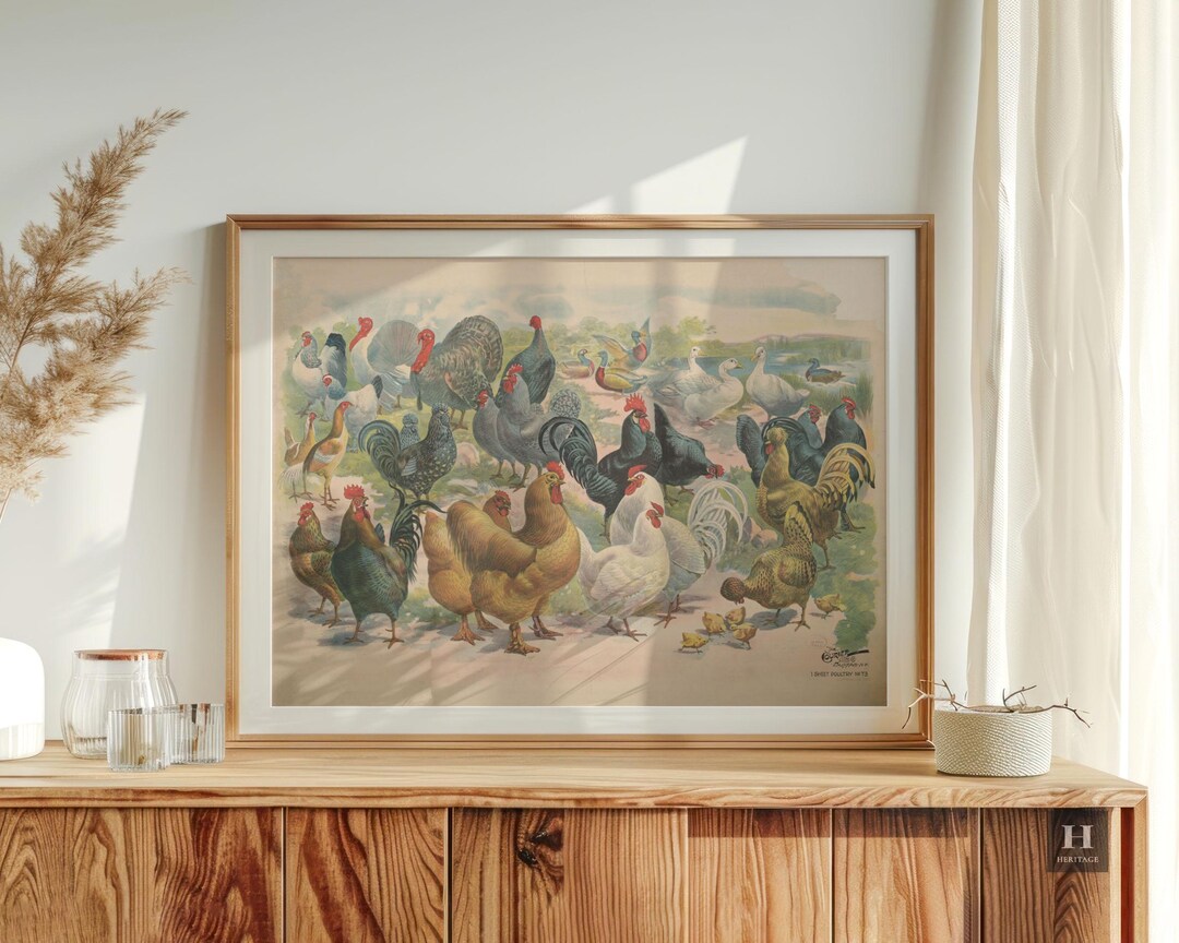Vintage Chicken Advertising Poster | Farmhouse Hen Wall Art (digital ...