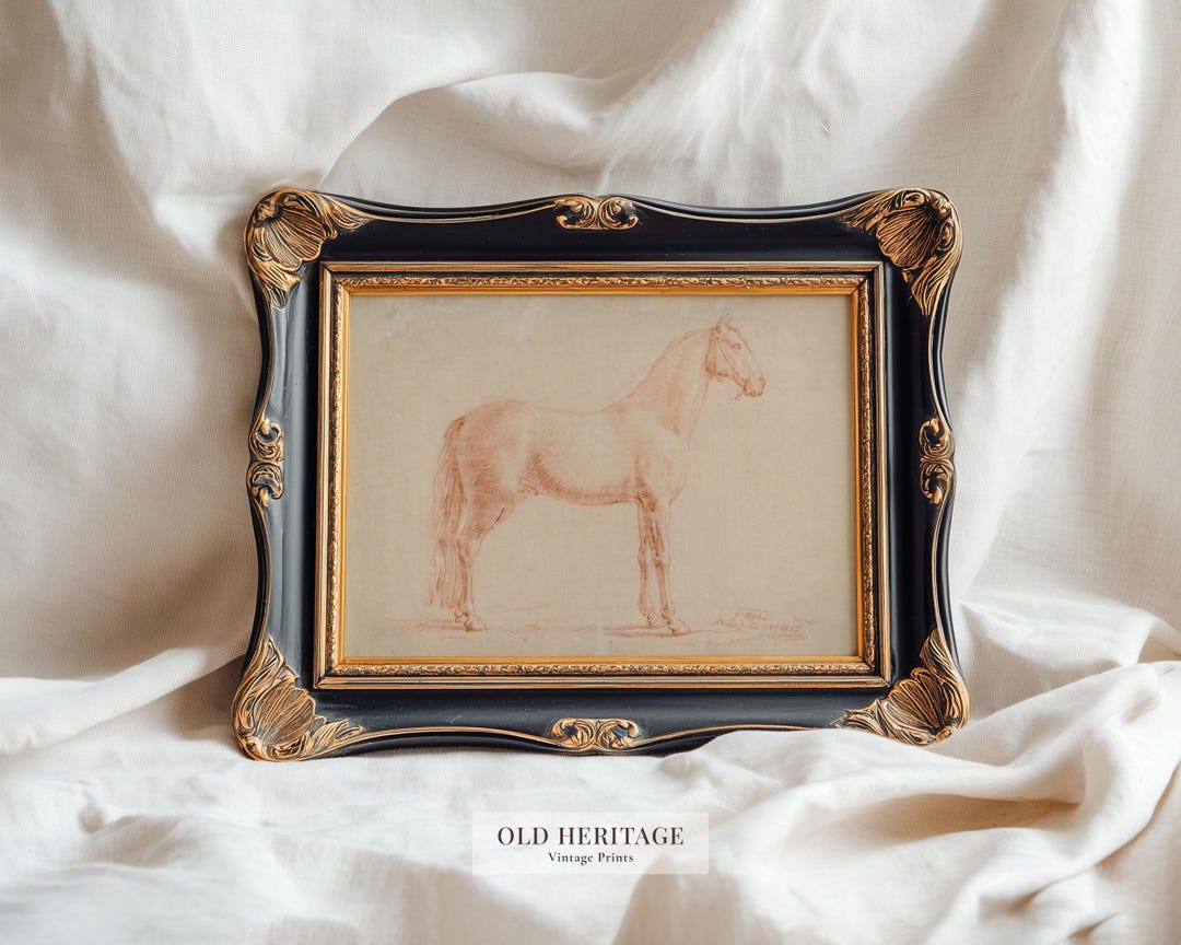 Vintage Horse Study Drawing | 18th Century Equestrian Sketch Art ...