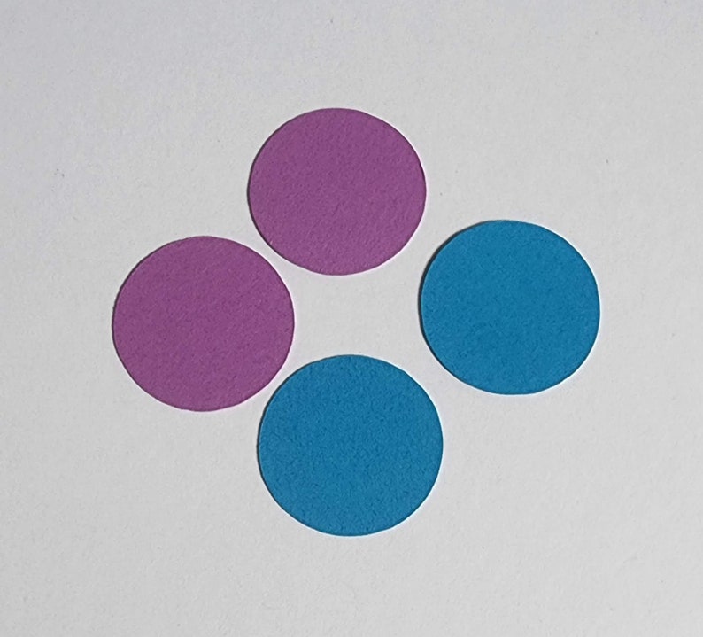25 Pack Paper Circle Shapes, Cut Out Circle, Cardstock Circle, DIY