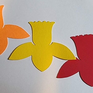 25 Pack Paper Flower Shape, Flower Cut Out Die, Cardstock Flower, DIY Tulip Flower, DIY Card Flowers, Spring, Scrapbook Flowers