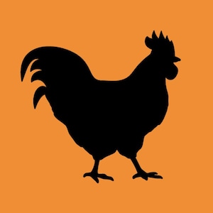 Paquet de 25 - Formes de poulet en papier, poulet découpé, poulet à faire soi-même, articles de fête, mariage, anniversaire