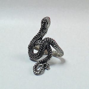 May include: A silver snake ring with a detailed, textured design. The snake's head is raised, and the tip of its head is red. The ring wraps around the finger in a coiled pattern.