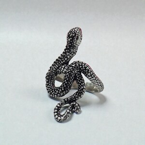 May include: A silver snake ring with a detailed, textured design. The snake's head is raised, and the tip of its head is red. The ring wraps around the finger in a coiled pattern.