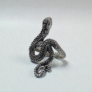 May include: A silver snake ring with a detailed, textured design. The snake's head is raised, and the tip of its head is red. The ring wraps around the finger in a coiled pattern.