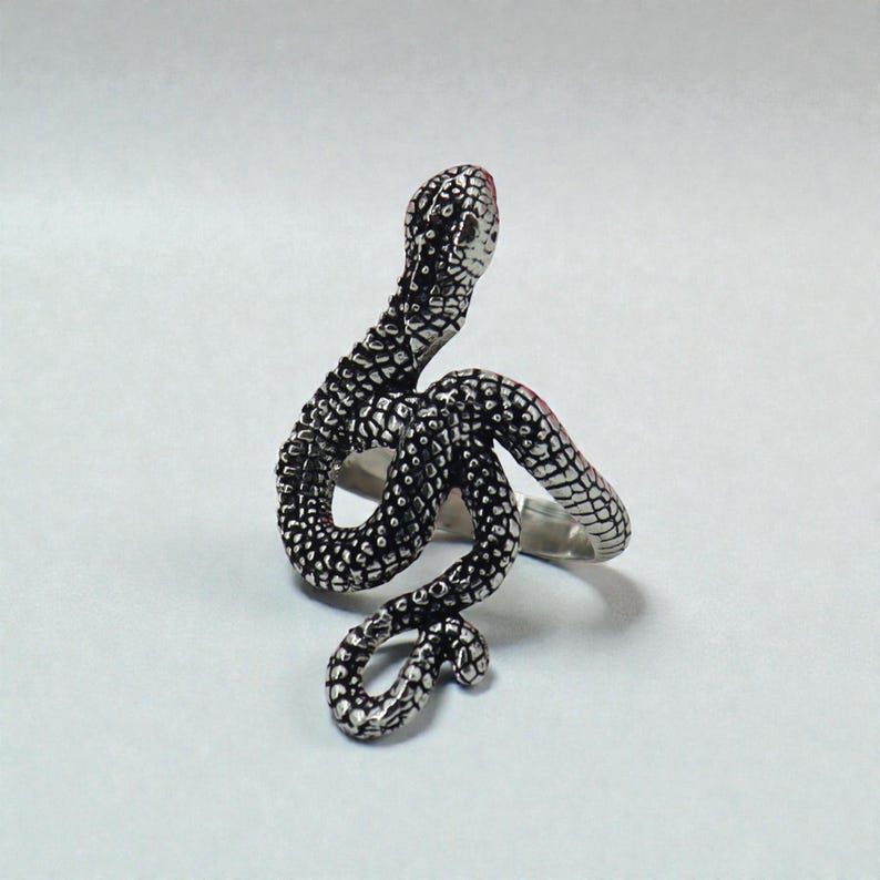 May include: A silver snake ring with a detailed, textured design. The snake's head is raised, and the tip of its head is red. The ring wraps around the finger in a coiled pattern.
