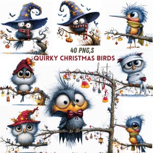 Quirky Festive Birds On A Branch PNG Clipart Bundle, Cute & Funny Christmas Birds, Card Making Designs, Funny Christmas Clipart