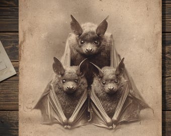 Vintage Victorian Bat Family Mothers Day Card Gothic Animal Antique Style Photography Blank Inside