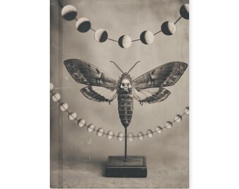 Death Head Moth Notebook Lunar Phase Gothic Specimen Journal