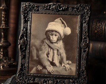 Grumpy Baby Monkey Christmas Print Vintage Victorian Holiday Wall Art