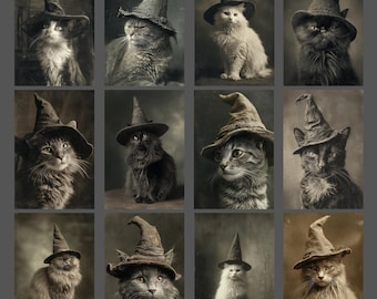 Vintage Cats in Witch Hats Blank Notecard Set of 12 Victorian Halloween Greeting Cards Gothic Stationery