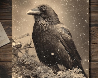 Vintage Victorian Raven in Snowy Christmas Boughs Card Gothic Holiday Art Antique Style Photography Blank Inside