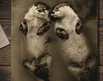 Vintage Victorian Otter Pair Love Valentines Day Card Gothic Animal Antique Style Photography Blank Inside