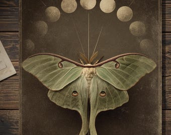 Vintage Victorian Lunar Moth Greeting Card Gothic Moon Phase Occult Art Antique Style Photography Blank Inside