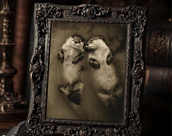 Vintage Victorian Otter Pair Love Print Gothic Animal Wall Art Antique Style Photography Dark Whimsical Romantic Decor