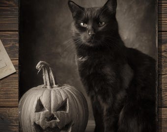 Vintage Victorian Black Cat And Jack O Lantern Halloween Card Gothic Spooky Antique Style Photography Blank Inside