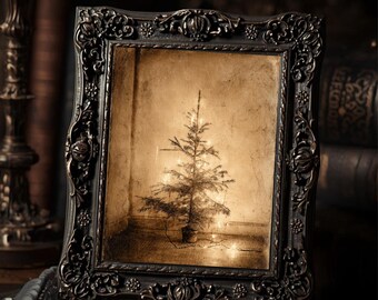Melancholy Christmas Tree Print  Gothic Holiday Wall Art Weird Macabre Antique Style Photograph Minimal Creepy Décor