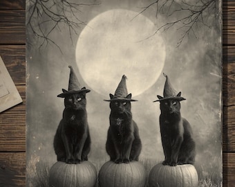 Vintage Victorian Black Cat Witch Halloween Card Gothic Trio Full Moon Pumpkin Antique Style Photography Blank Inside