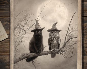 Vintage Victorian Black Cat Owl Witch Halloween Card Gothic Forest Moon Antique Style Photography Blank Inside