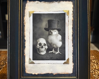 Framed Art