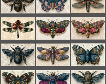 Vintage Ornate Insect Notecard Set of 12 Victorian Moths Bees Dragonflies Blank Greeting Cards Stationery