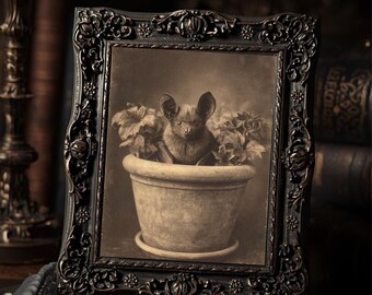 Victorian Bat In Flower Pot Art Print Antique Style Sepia Bat Portrait Gothic Print