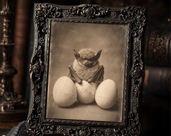 Vintage Victorian Baby Bat Hatching From Egg Gothic Wall Print Dark Whimsical Art