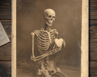 Vintage Victorian Skeleton Holding Heart Valentine Card Gothic Macabre Antique Cabinet Photo Blank Inside