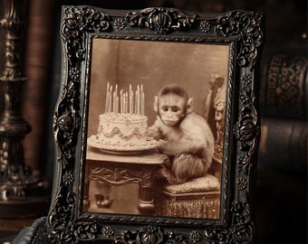 Vintage Monkey Birthday Print Funny Animal Wall Art Antique Portrait