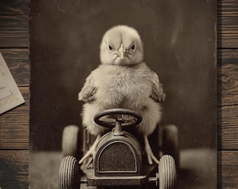 Vintage Victorian Chick Driving Toy Car Card Gothic Dark Humor Antique Style Photography Blank Inside