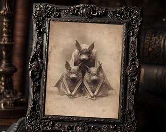 Vintage Victorian Bat Family Print Gothic Animal Wall Art Antique Style Photography Dark Whimsical Decor